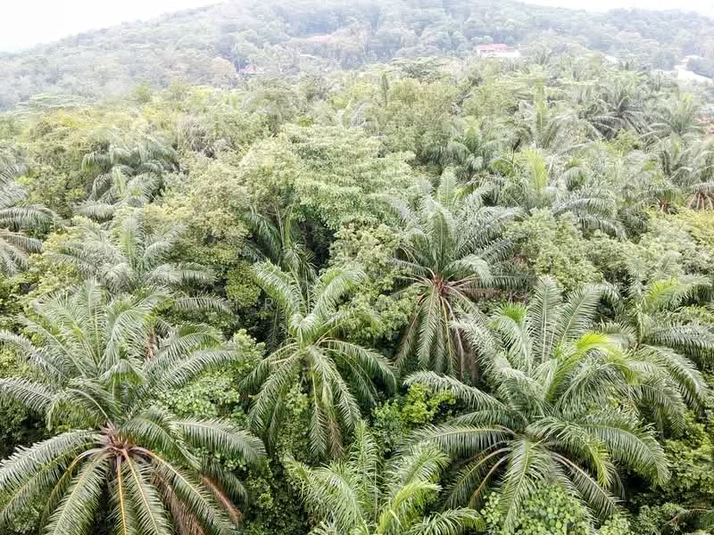Tanah Pertanian untuk Dijual di Kampung Sungai Merab (Dengkil) - Fitri Zainal - Exterior - PropertyGuru.com.my