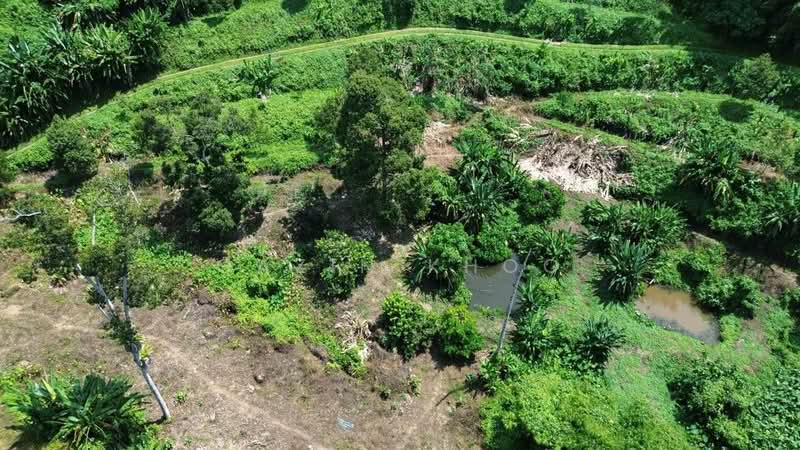 Agricultural Land for Sale in Kuala Kangsar (Perak) - Qazin Khoo - Exterior - PropertyGuru.com.my