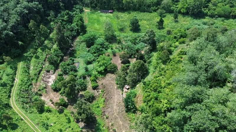 Agricultural Land for Sale in Kuala Kangsar (Perak) - Qazin Khoo - Exterior - PropertyGuru.com.my