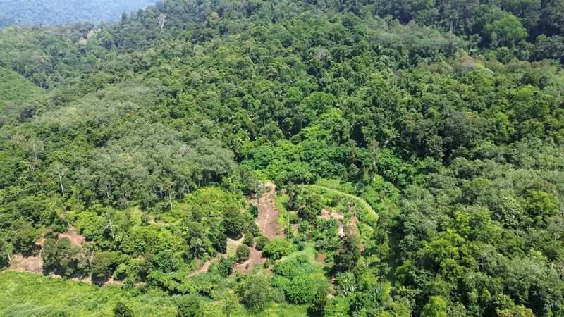 Agricultural Land for Sale in Kuala Kangsar (Perak) - Qazin Khoo - Exterior - PropertyGuru.com.my