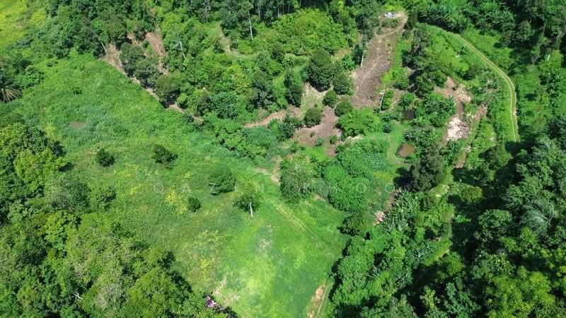 Agricultural Land for Sale in Kuala Kangsar (Perak) - Qazin Khoo - Exterior - PropertyGuru.com.my