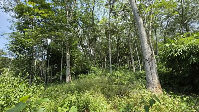 Agricultural Land for Sale in Kuala Kangsar (Perak) - Qazin Khoo - Garden - PropertyGuru.com.my