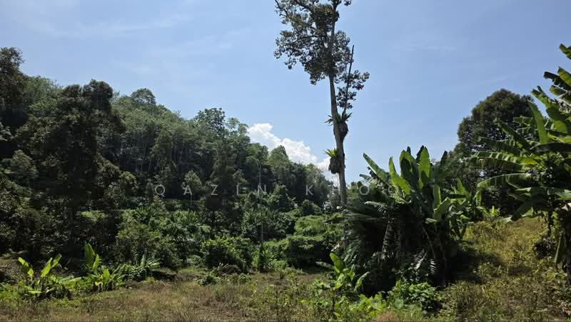 Agricultural Land for Sale in Kuala Kangsar (Perak) - Qazin Khoo - Exterior - PropertyGuru.com.my
