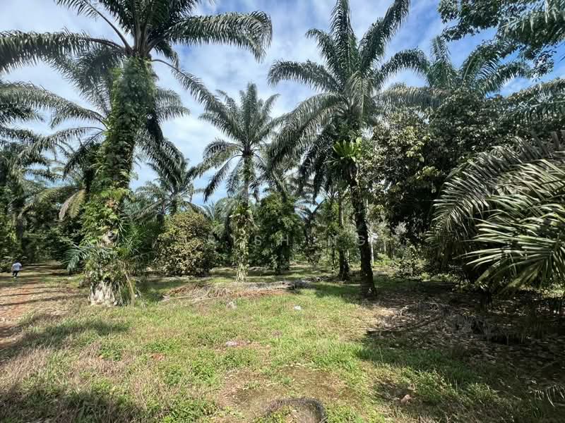 Other Property for Sale in Kampung Seelong Jaya (Senai) - Trish Ng - PropertyGuru.com.my