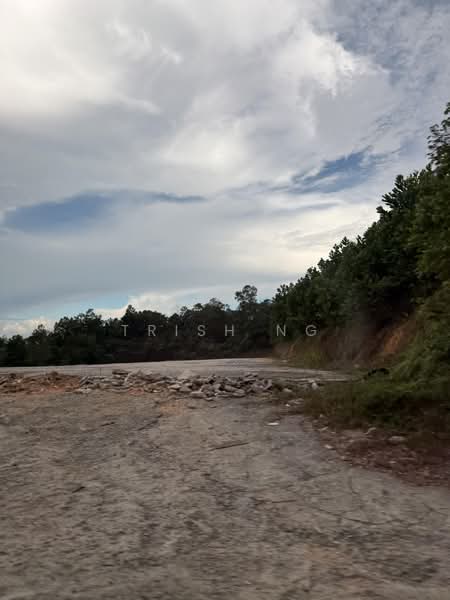 Other Property for Sale in Kampung Seelong Jaya (Senai) - Trish Ng - PropertyGuru.com.my