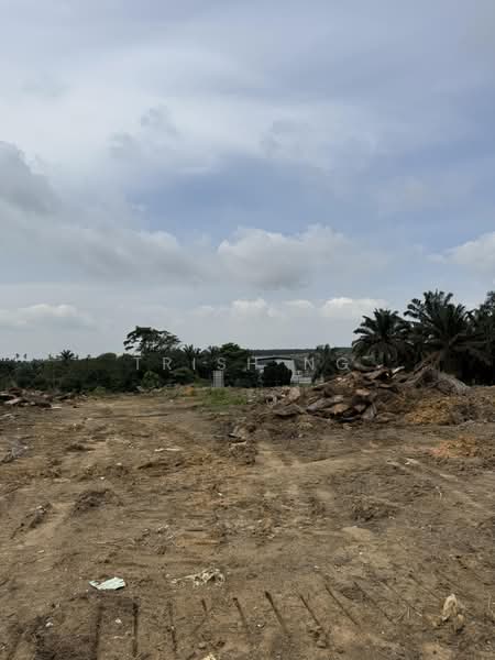 Other Property for Sale in Kampung Seelong Jaya (Senai) - Trish Ng - PropertyGuru.com.my