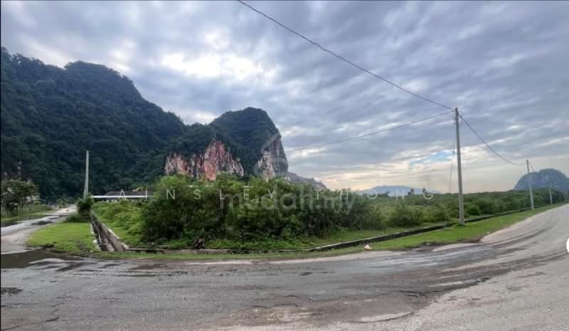 Agricultural Land for Sale in Tungzen Industrial Park (Sungai Raya) - Ainsley Thong - Exterior - PropertyGuru.com.my