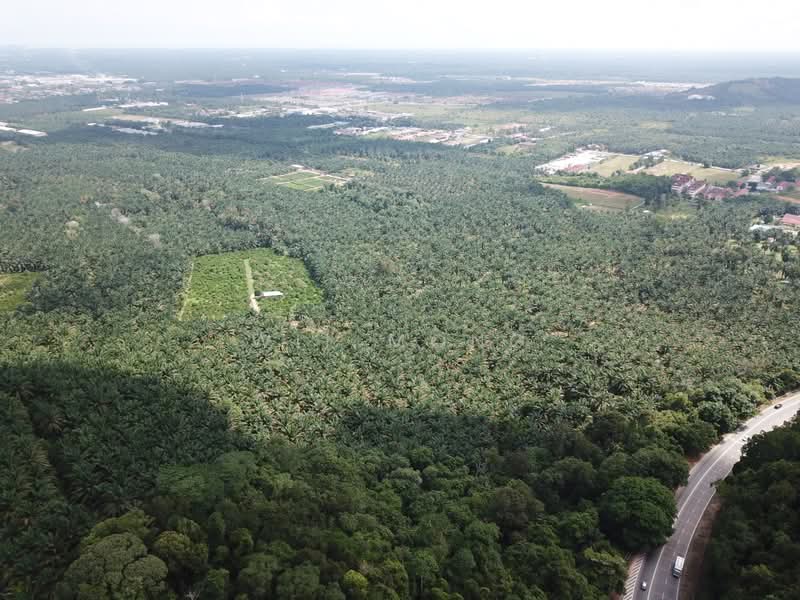 Agricultural Land for Sale in Temerloh (Pahang) - Wil Mong - Exterior - PropertyGuru.com.my