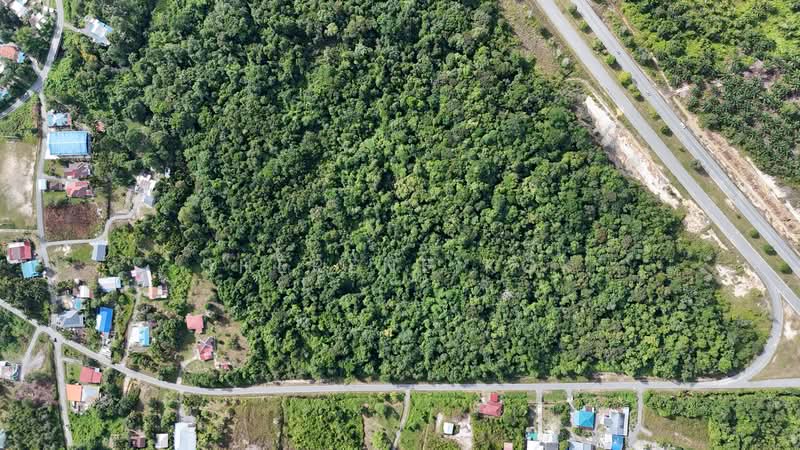 Tanah Pertanian untuk Dijual di Matang (Kuching) - Sherene Kok - PropertyGuru.com.my
