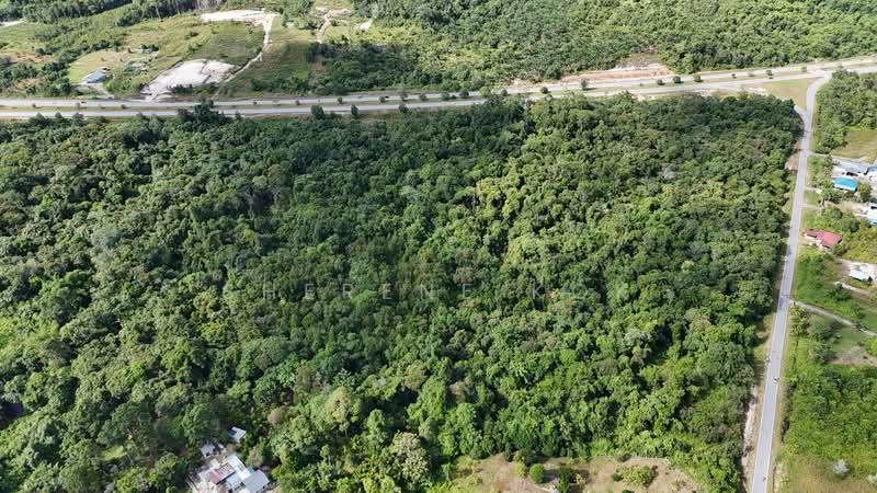 Tanah Pertanian untuk Dijual di Matang (Kuching) - Sherene Kok - Exterior - PropertyGuru.com.my