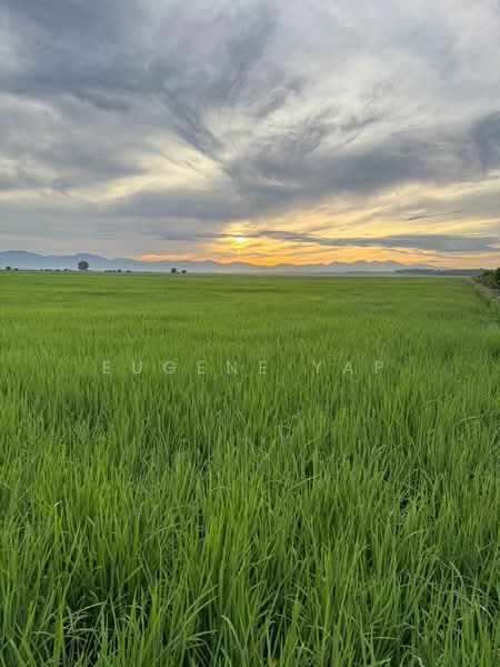 Agricultural Land for Sale in Langkap (Perak) - Eugene Yap - Exterior - PropertyGuru.com.my