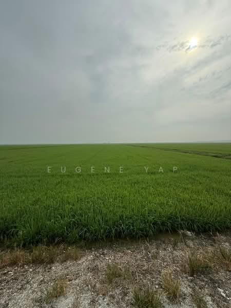 Agricultural Land for Sale in Langkap (Perak) - Eugene Yap - Exterior - PropertyGuru.com.my
