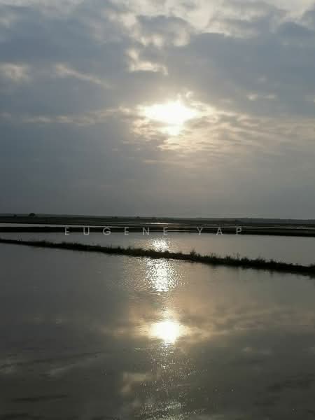Agricultural Land for Sale in Langkap (Perak) - Eugene Yap - Exterior - PropertyGuru.com.my