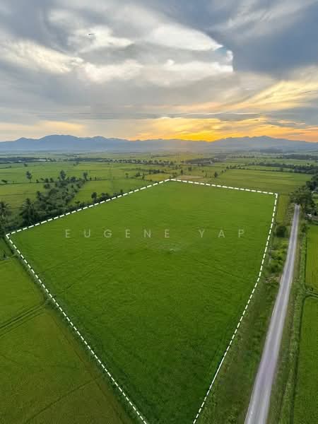 Agricultural Land for Sale in Langkap (Perak) - Eugene Yap - Exterior - PropertyGuru.com.my