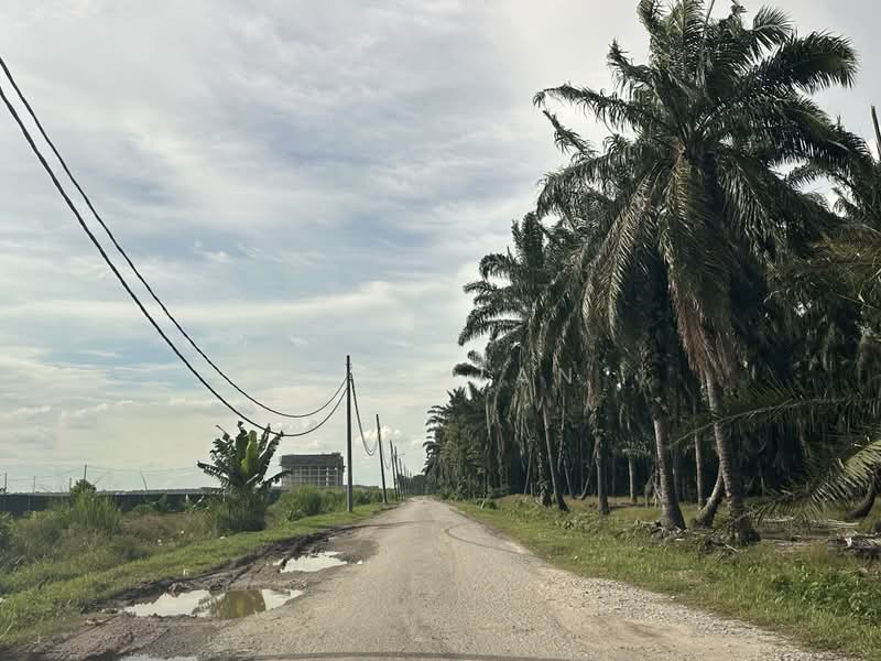 Tanah Pertanian untuk Dijual di Jenjarom (Selangor) - Joey Tan - PropertyGuru.com.my