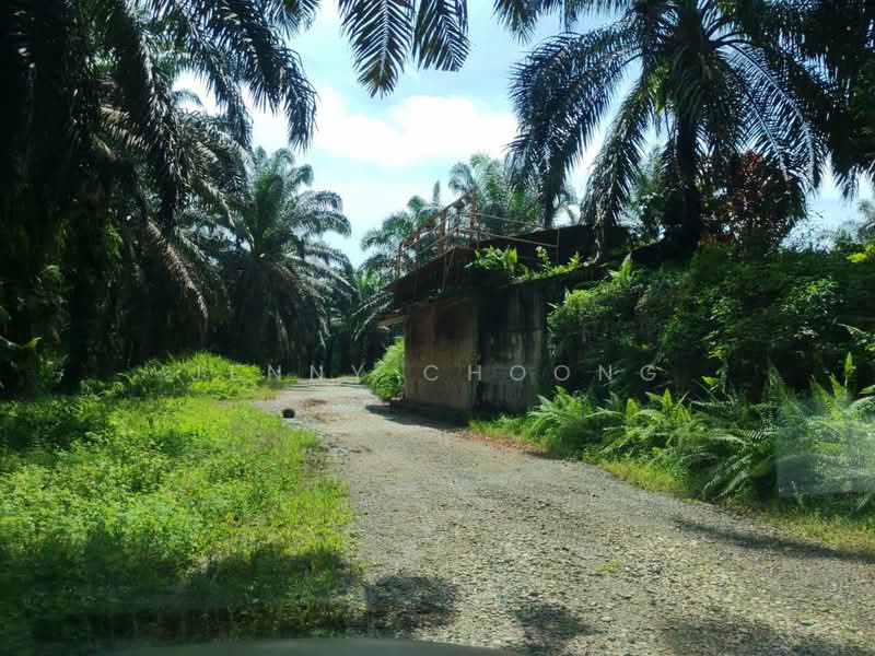 Tanah Pertanian untuk Dijual di Sungkai (Perak) - Jenny Choong - Exterior - PropertyGuru.com.my