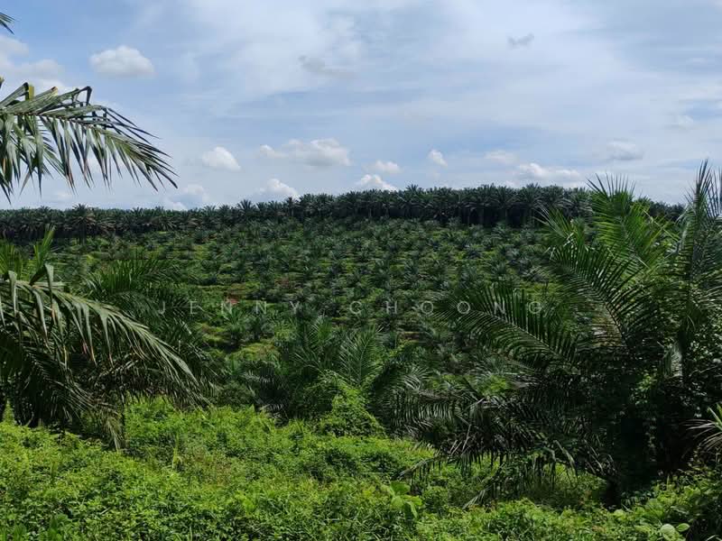 Tanah Pertanian untuk Dijual di Sungkai (Perak) - Jenny Choong - Exterior - PropertyGuru.com.my
