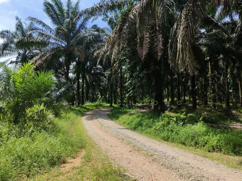 Tanah Pertanian untuk Dijual di Sungkai (Perak) - Jenny Choong - Exterior - PropertyGuru.com.my