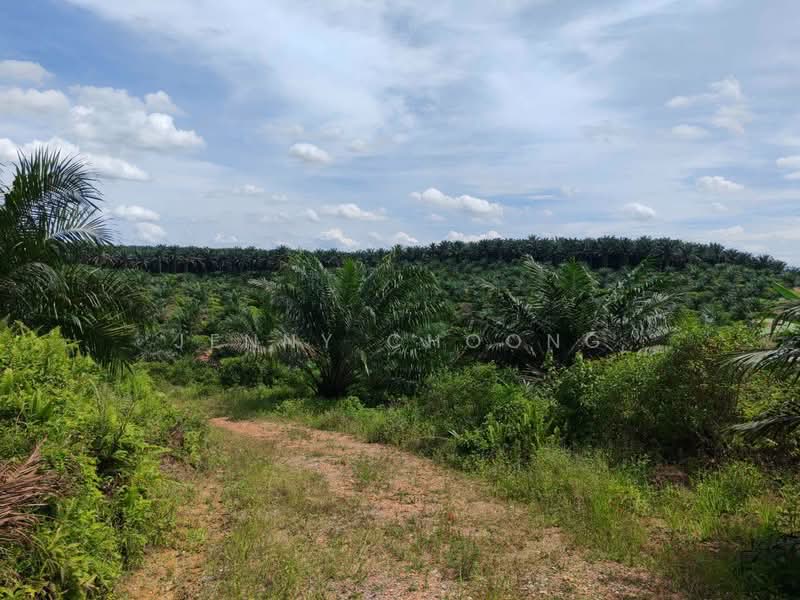 Tanah Pertanian untuk Dijual di Sungkai (Perak) - Jenny Choong - Exterior - PropertyGuru.com.my
