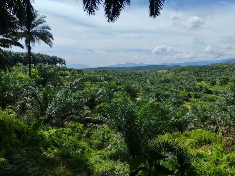 Tanah Pertanian untuk Dijual di Sungkai (Perak) - Jenny Choong - Exterior - PropertyGuru.com.my