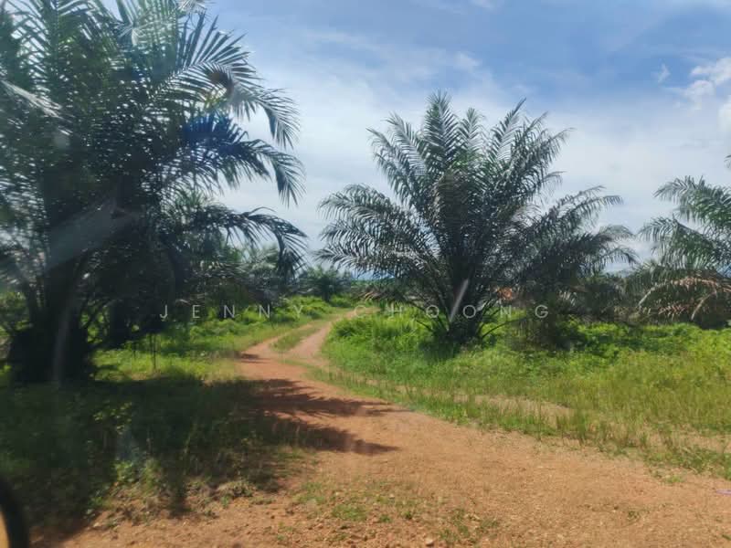 Tanah Pertanian untuk Dijual di Sungkai (Perak) - Jenny Choong - Exterior - PropertyGuru.com.my