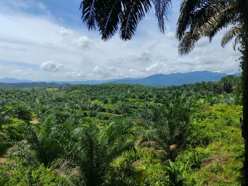 Tanah Pertanian untuk Dijual di Sungkai (Perak) - Jenny Choong - Exterior - PropertyGuru.com.my