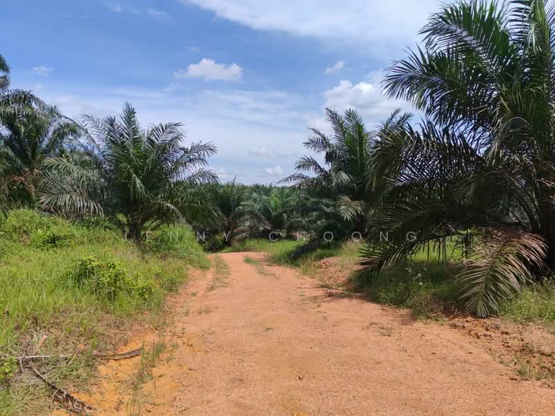 Tanah Pertanian untuk Dijual di Sungkai (Perak) - Jenny Choong - Exterior - PropertyGuru.com.my