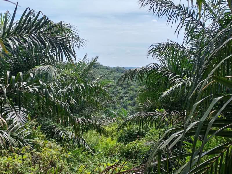 Tanah Pertanian untuk Dijual di Sungkai (Perak) - Jenny Choong - Exterior - PropertyGuru.com.my
