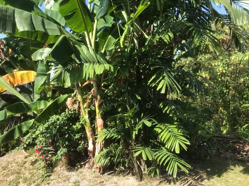 Residential Land for Sale in Kempas Denai (Tampoi) - Kay Ng - Garden - PropertyGuru.com.my
