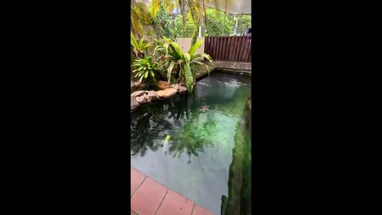 Rumah Berkembar untuk Dijual di Taman Mansion (Ipoh) - Donald Goh - PropertyGuru.com.my