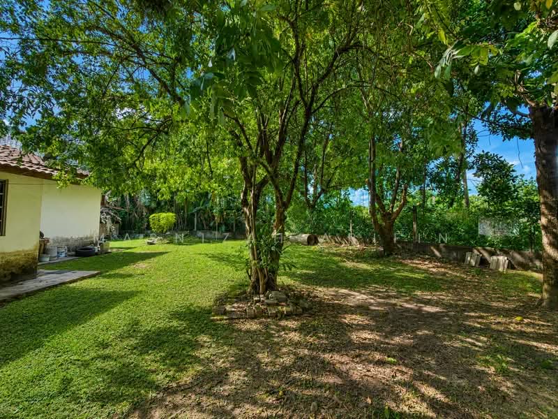 Bungalow for Sale in Sentul (Kuala Lumpur) - Masnizah Arifin - Garden - PropertyGuru.com.my