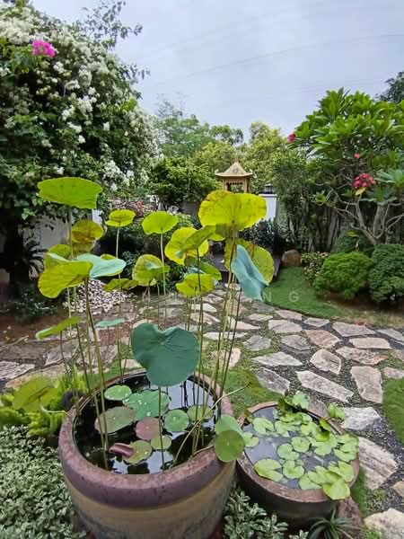 2.5-storey Terraced House for Sale in Bandar Sri Damansara (Selangor) - Benny Eng - PropertyGuru.com.my