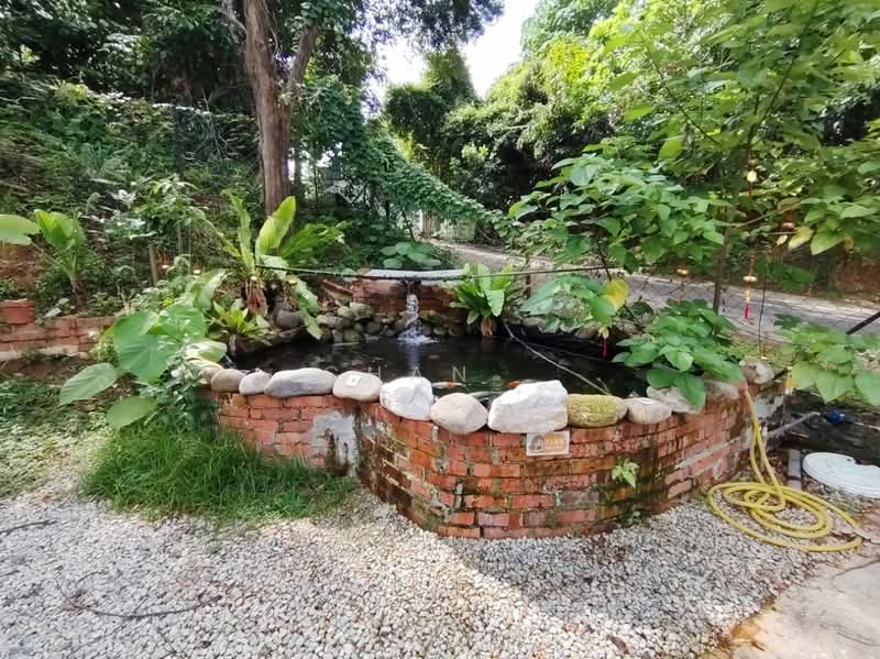 Semi-Detached House for Rent in Jalan Klang Lama (Old Klang Road) (Kuala Lumpur) - Chan . - Garden - PropertyGuru.com.my