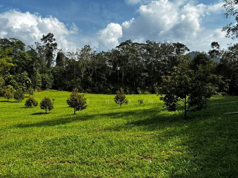 Agricultural Land for Sale in Kuala Kubu Bharu (Selangor) - Iz Hakim - Garden - PropertyGuru.com.my