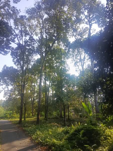 Agricultural Land for Sale in Lenggeng (Negeri Sembilan) - Mohd Faizal - Exterior - PropertyGuru.com.my