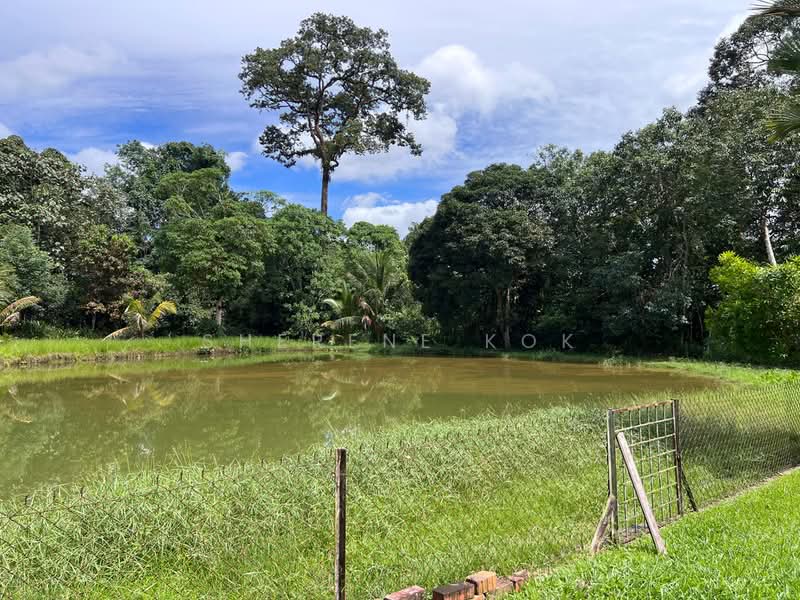 Tanah Pertanian untuk Dijual di Muara Tuang (Samarahan) - Sherene Kok - Exterior - PropertyGuru.com.my