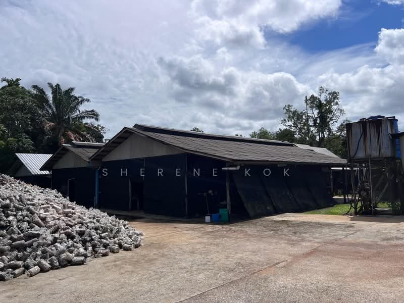Tanah Pertanian untuk Dijual di Muara Tuang (Samarahan) - Sherene Kok - Exterior - PropertyGuru.com.my