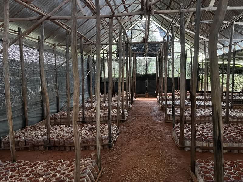 Tanah Pertanian untuk Dijual di Muara Tuang (Samarahan) - Sherene Kok - Interior - PropertyGuru.com.my