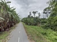 For Sale - L0054 Agricultural Land @ Asajaya 1st Lot Sub Main Road