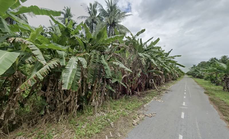 Tanah Pertanian untuk Dijual di Asajaya (Sarawak) - Sherene Kok - Exterior - PropertyGuru.com.my