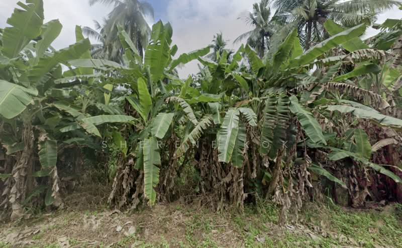 Tanah Pertanian untuk Dijual di Asajaya (Sarawak) - Sherene Kok - PropertyGuru.com.my