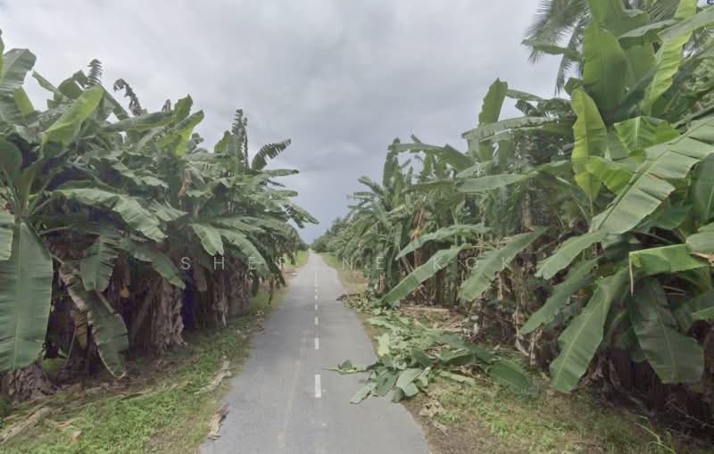 Tanah Pertanian untuk Dijual di Asajaya (Sarawak) - Sherene Kok - Exterior - PropertyGuru.com.my