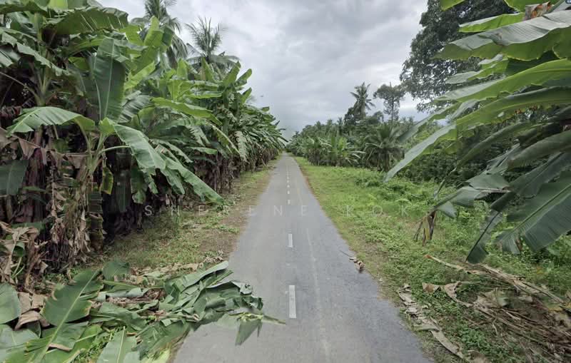 Tanah Pertanian untuk Dijual di Asajaya (Sarawak) - Sherene Kok - Exterior - PropertyGuru.com.my