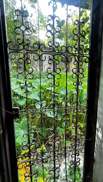 Bungalow for Sale in Taman Bukit Pantai (Bangsar) - Zarema Kulbuzheva - Garden - PropertyGuru.com.my