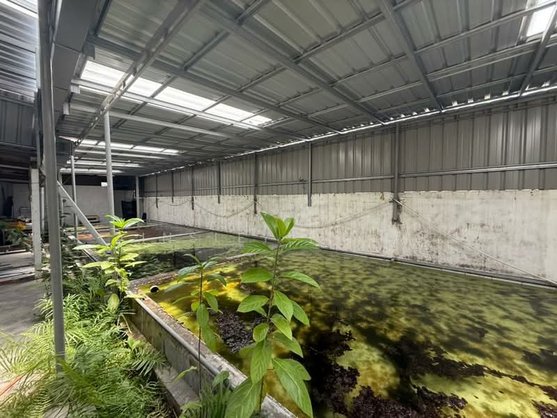 Bungalow for Sale in Kampung Tersusun Kopisan Baru (Gopeng) - Ainsley Thong - Exterior - PropertyGuru.com.my