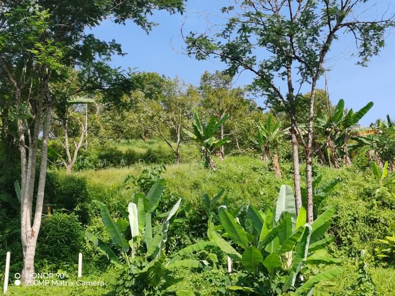 Agricultural Land for Sale in Lenggeng (Negeri Sembilan) - Ahmad Gadafi Md Nor - Garden - PropertyGuru.com.my