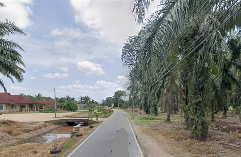 Agricultural Land for Sale in Batu Pahat (Johor) - Victor Lim - Exterior - PropertyGuru.com.my