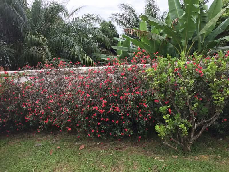 Agricultural Land for Sale in Johor Bahru (Johor) - Kelly Wai - Exterior - PropertyGuru.com.my