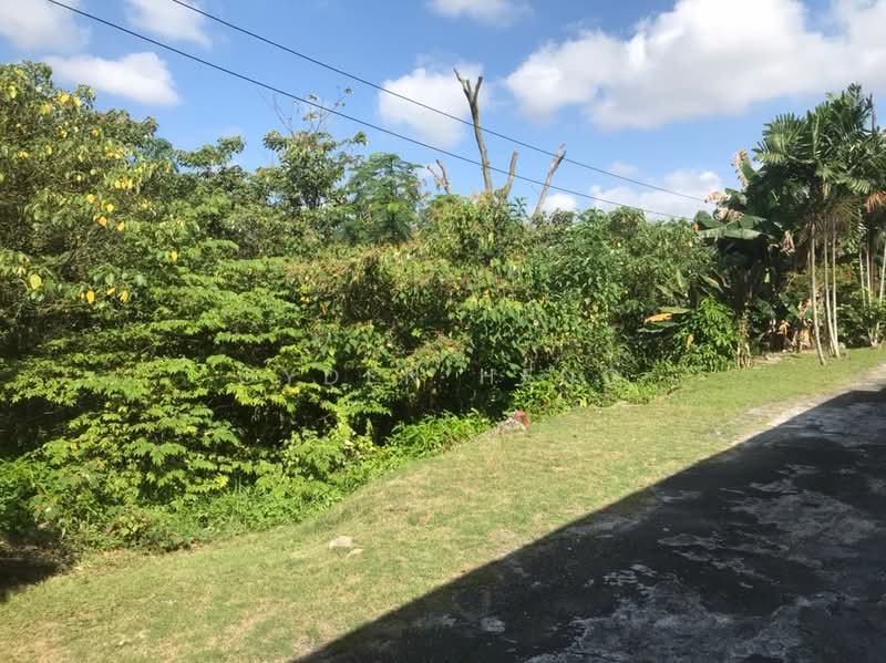 Tanah Kediaman untuk Dijual di Kempas Denai (Tampoi) - Gyden Heng - Exterior - PropertyGuru.com.my