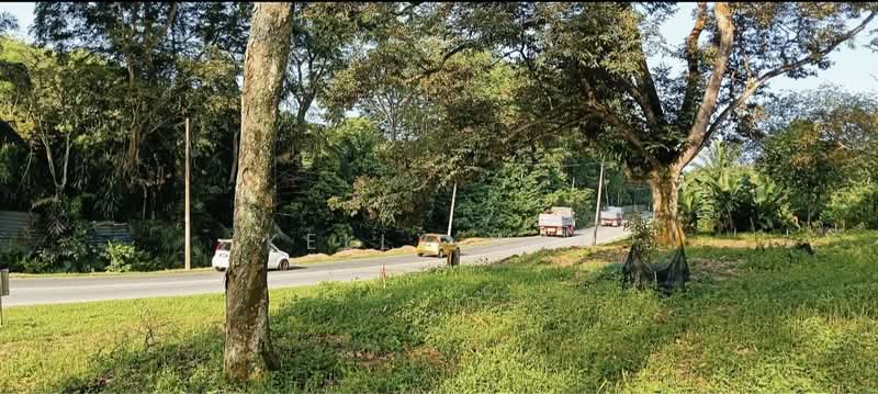 Agricultural Land for Sale in Ulu Choh (Jeram Batu) - Kelly Wai - Exterior - PropertyGuru.com.my